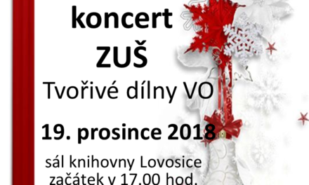 Koncert v knihovně v Lovosicích